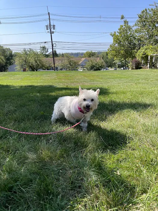 Martinsville Veterinary Hospital Picture 4
