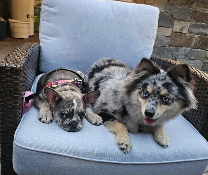 Martinsville Veterinary Hospital Picture 2