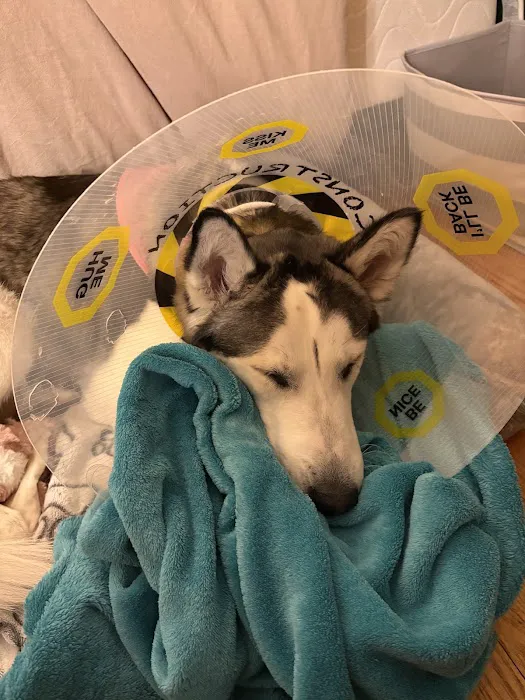 Martinsville Veterinary Hospital Picture 7