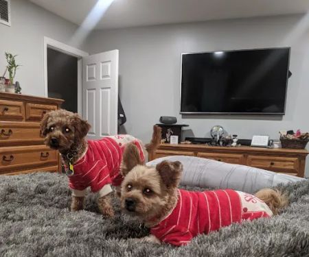 Banfield Pet Hospital