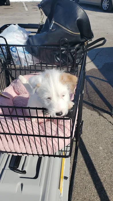Petco Picture 3