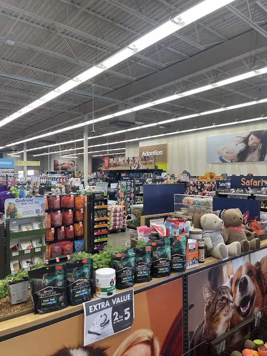 Petco Picture 2