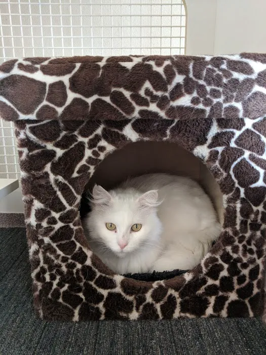 Petco Picture 8