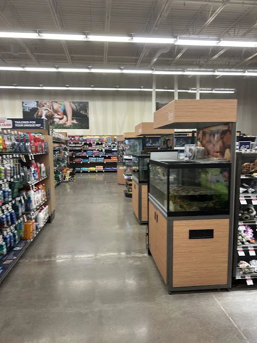 Petco Picture 7