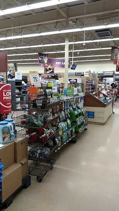 Petco Picture 9