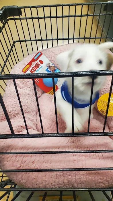 Petco Picture 5