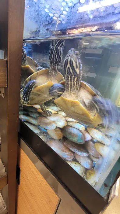 Petco Picture 10