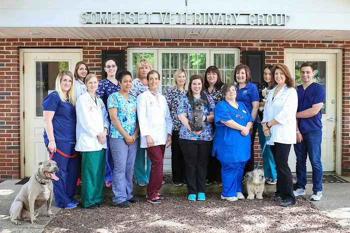 Somerset Veterinary Group Picture 9