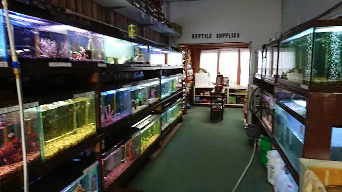 Indoor Fins Aquatic Pets Picture 5