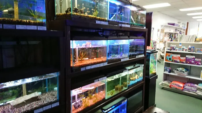 Indoor Fins Aquatic Pets Picture 8