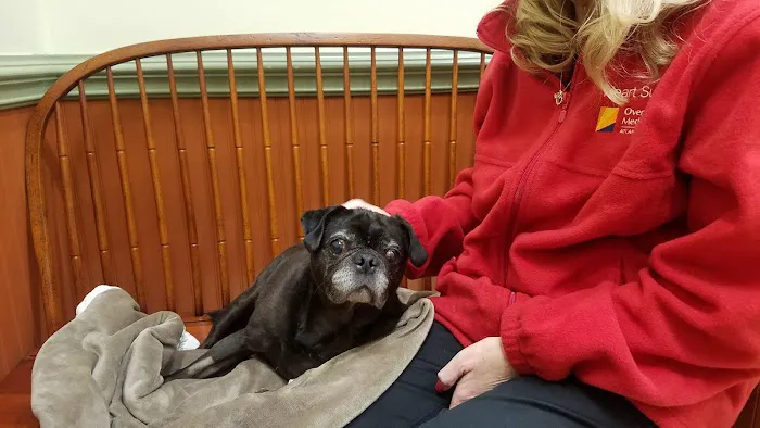 Basking Ridge Animal Hospital Picture 3