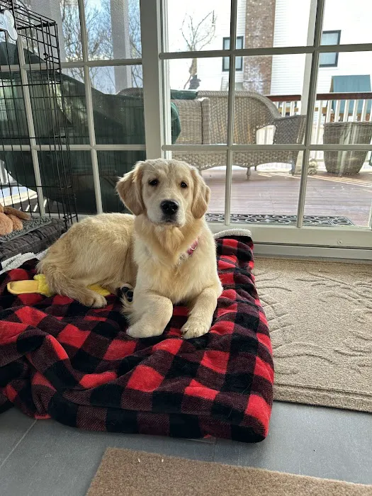 Basking Ridge Animal Hospital Picture 8