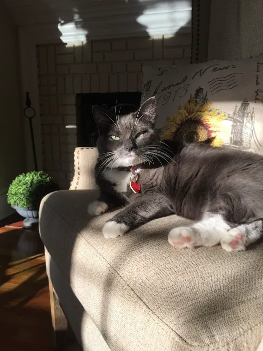 Basking Ridge Animal Hospital Picture 6