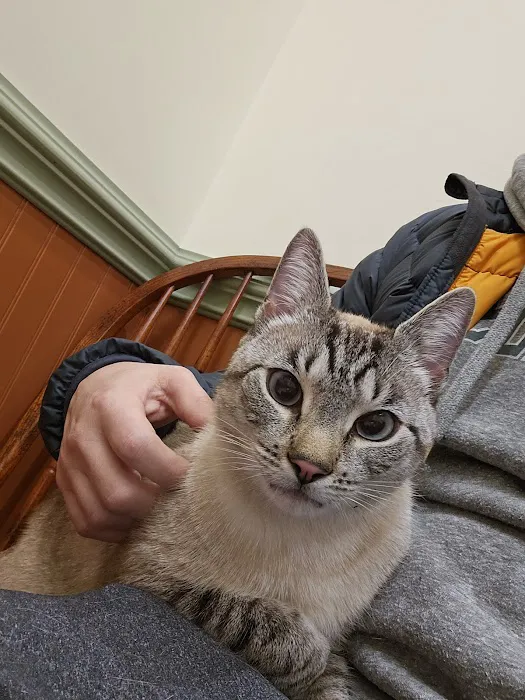 Basking Ridge Animal Hospital Picture 5