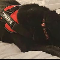 Chuck & Don's Pet Food & Supplies ico