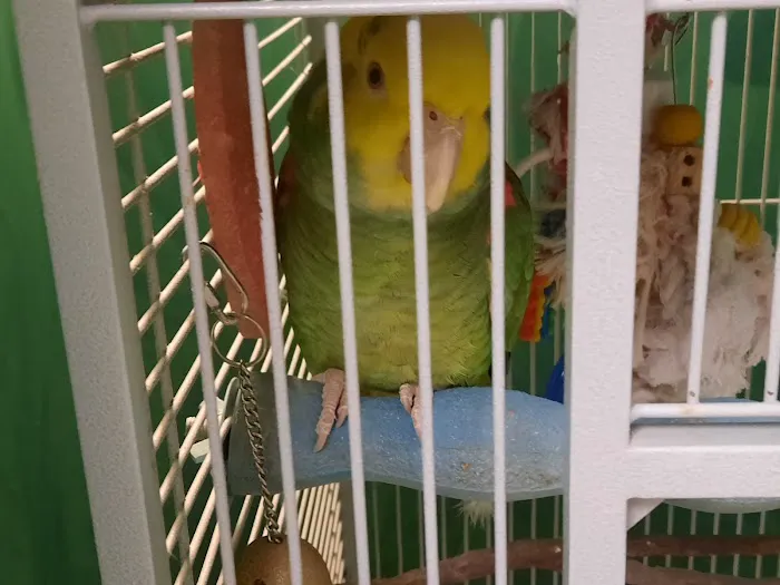 Faribault Animal Center Picture 4