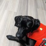 Veterinary Center of Morris County at Florham Park