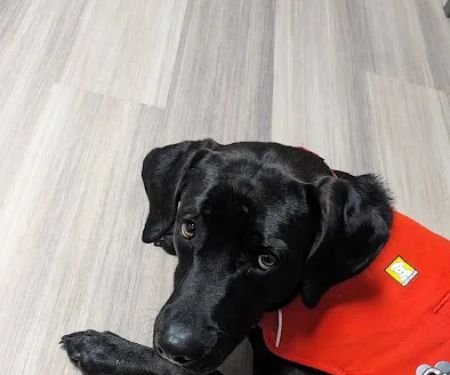 Veterinary Center of Morris County at Florham Park