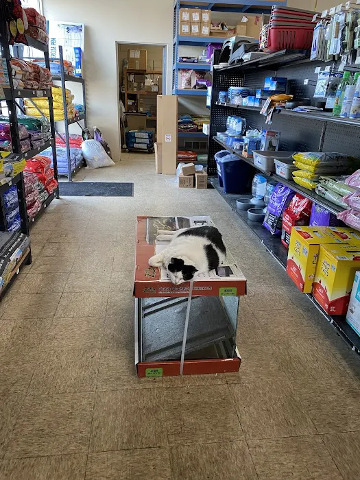 Uncle Earl's Pet Center Picture 6