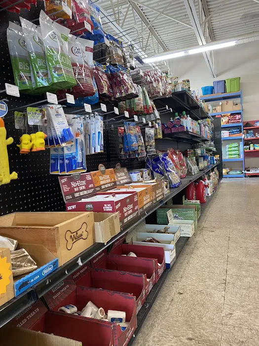 Uncle Earl's Pet Center Picture 3