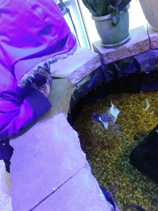 Uncle Earl's Pet Center Picture 5