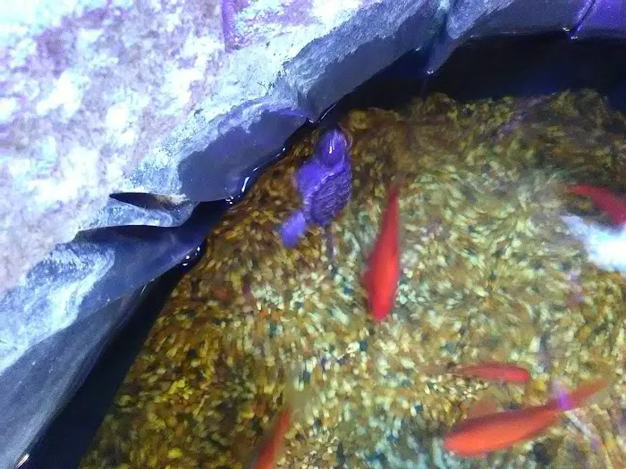 Uncle Earl's Pet Center Picture 8