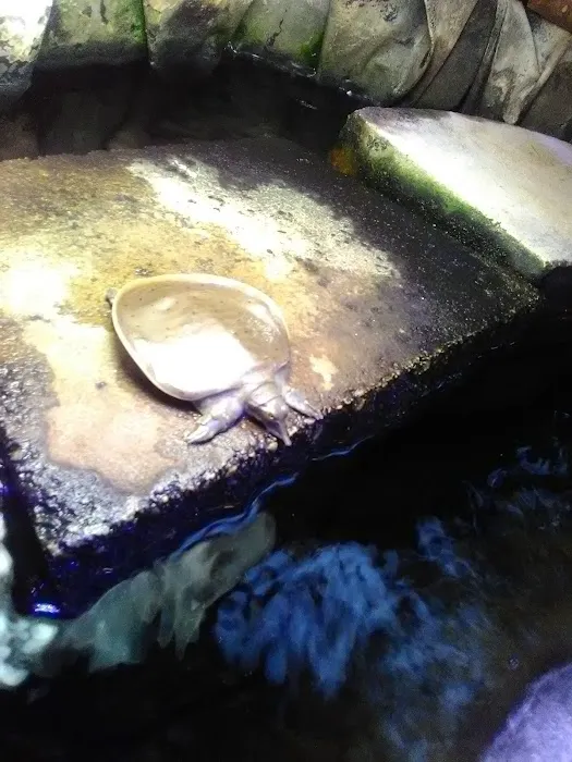 Uncle Earl's Pet Center Picture 7