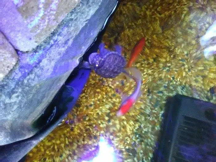 Uncle Earl's Pet Center Picture 9