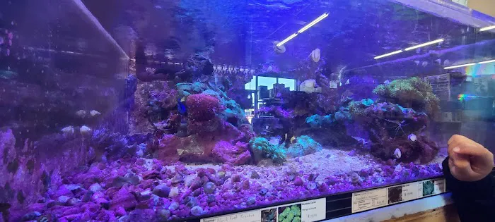 Uncle Earl's Pet Center Picture 10