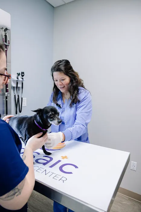 Mosaic Animal Health Center at St. Hubert's Picture 5