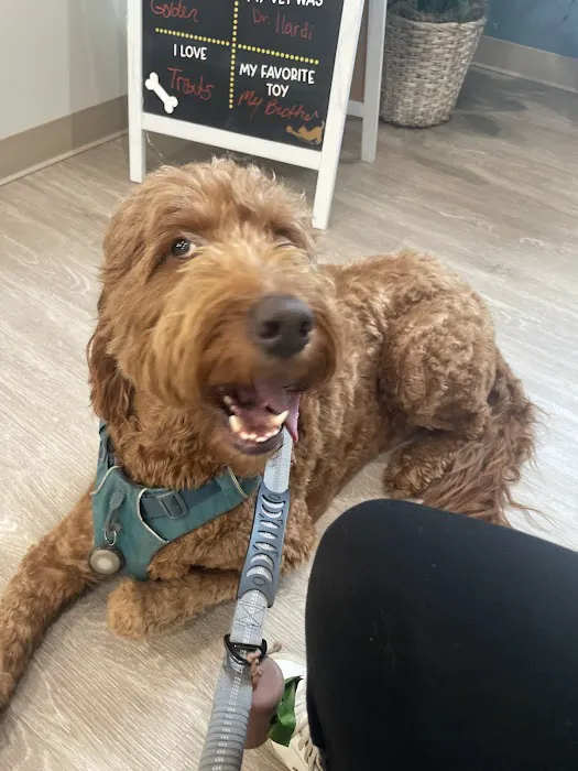 Mosaic Animal Health Center at St. Hubert's Picture 6