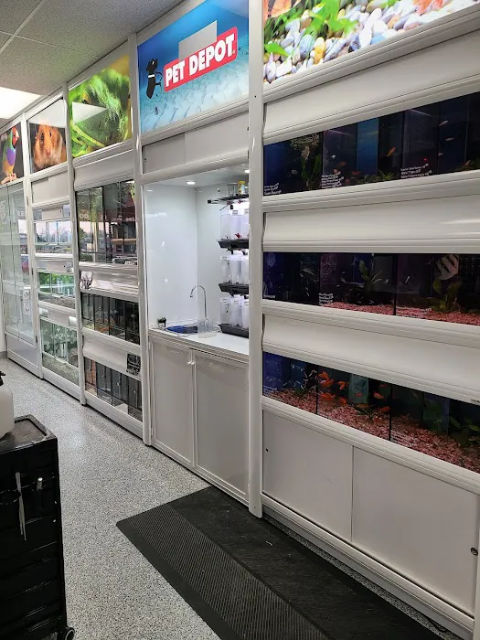Mondo's PET DEPOT Picture 2