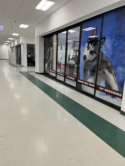 Mondo's PET DEPOT Picture 3