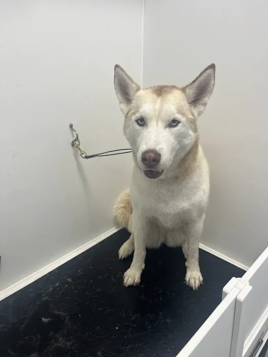 Mondo's PET DEPOT Picture 7