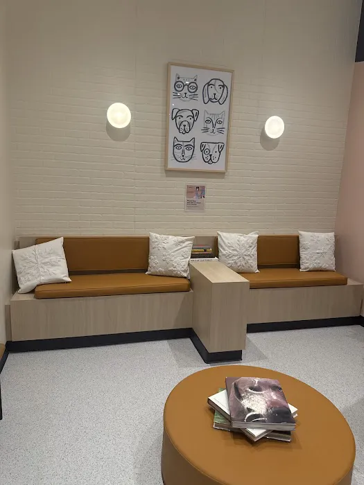 Bond Vet - Florham Park Picture 6