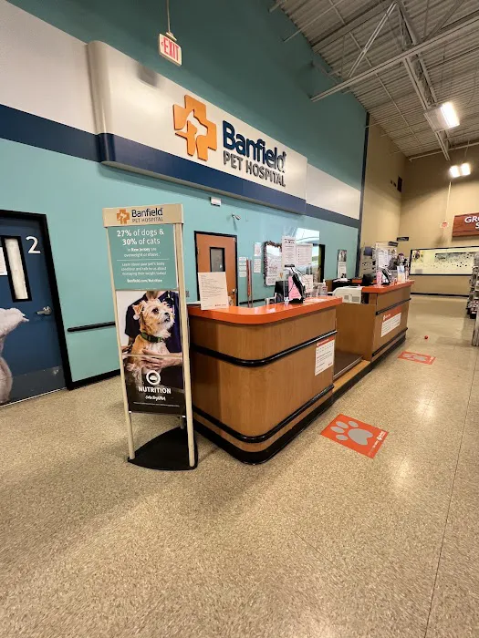 Banfield Pet Hospital Picture 2
