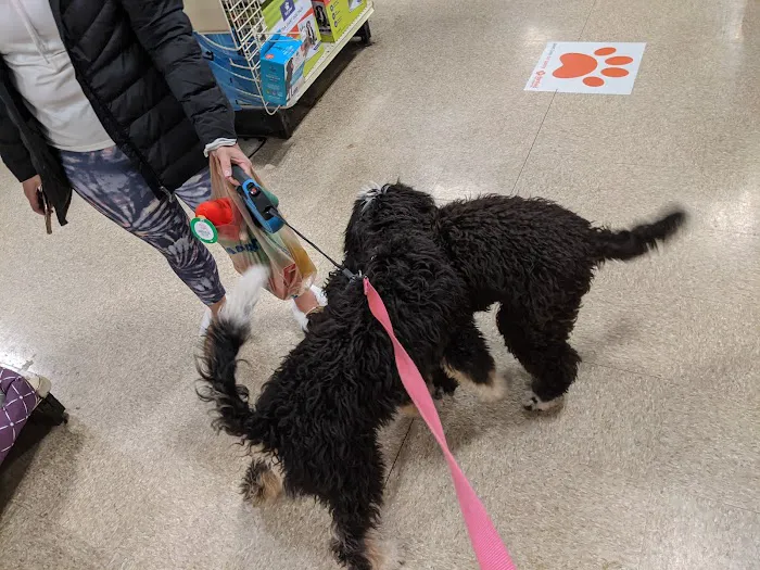 Banfield Pet Hospital Picture 1