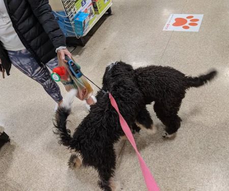 Banfield Pet Hospital