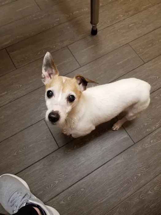 Banfield Pet Hospital Picture 4