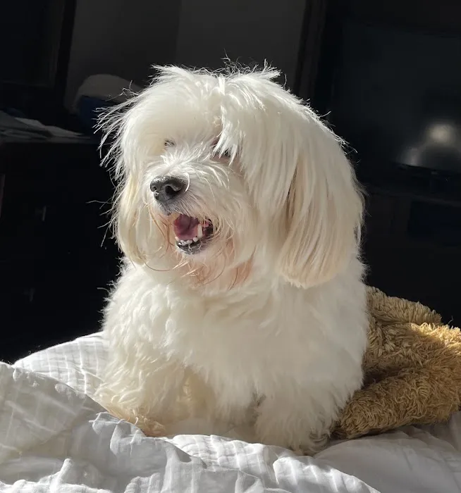 Banfield Pet Hospital Picture 7