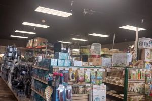 Auto Service Center