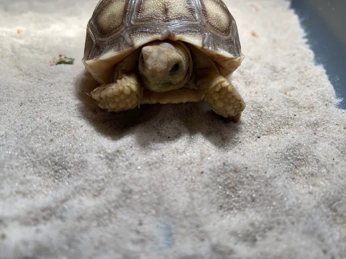 Happy Tails Pet Store Picture 6