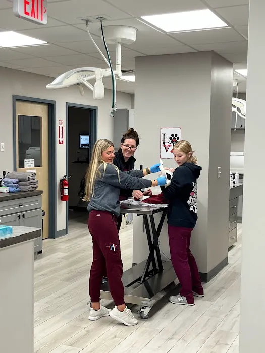 Saint Francis Veterinary Medical Center Picture 3