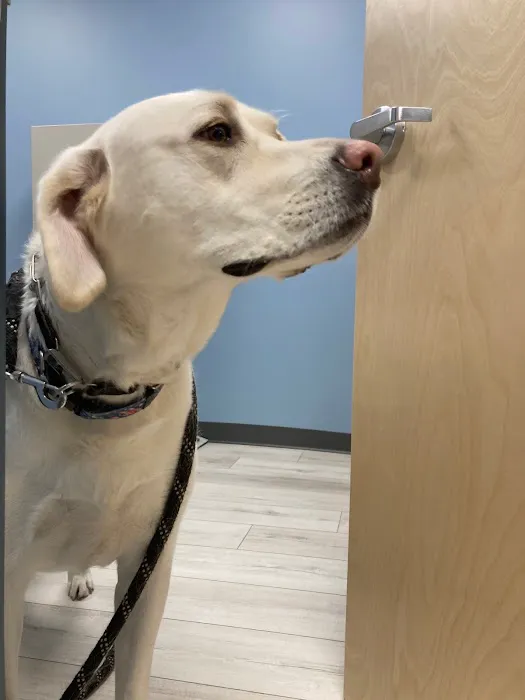 Saint Francis Veterinary Medical Center Picture 9