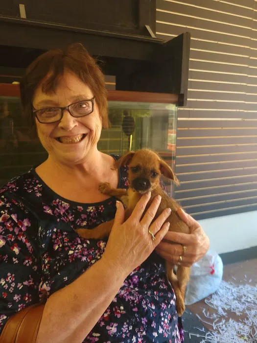 Pets & Fish Picture 4