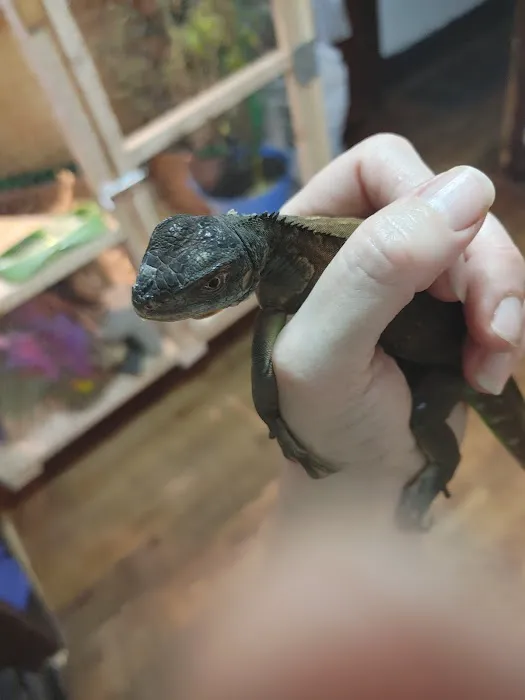 Pets & Fish Picture 3