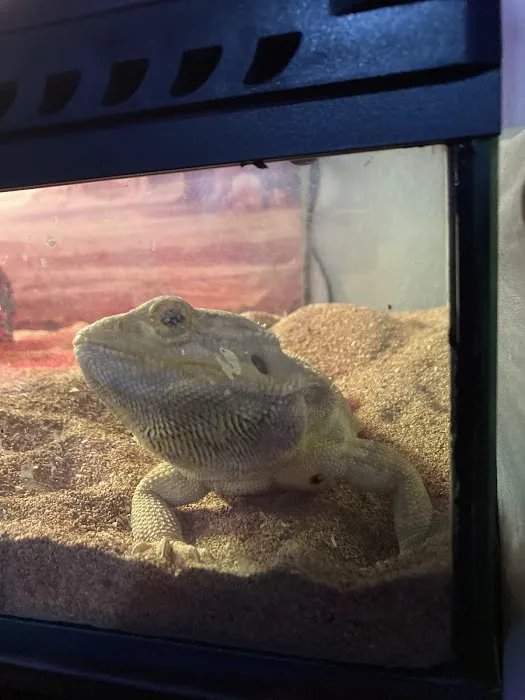 Pets & Fish Picture 2