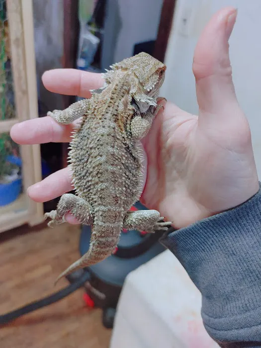 Pets & Fish Picture 5