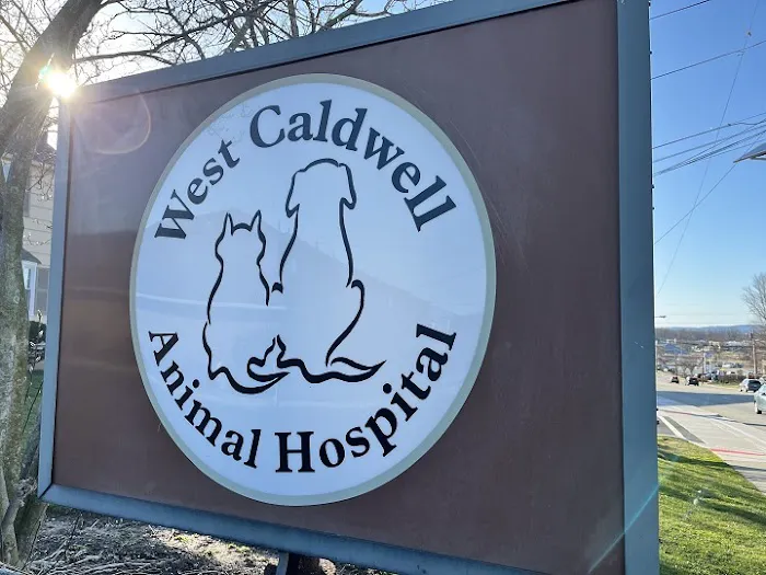 West Caldwell Animal Hospital Picture 4