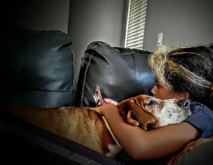 West Caldwell Animal Hospital Picture 1